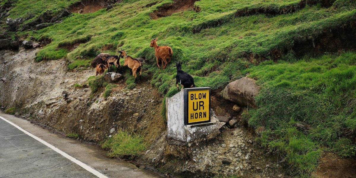 RENTING SCOOTERS TO TOUR BATANES